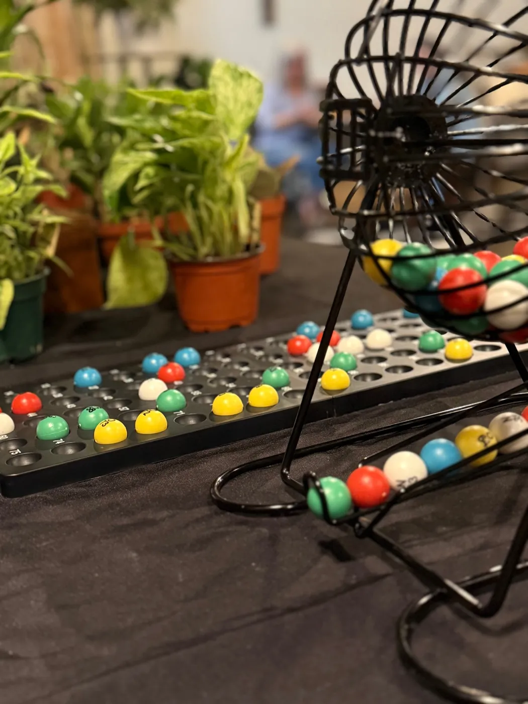 A bingo cage full of colorful balls next to a table of houseplant prizes