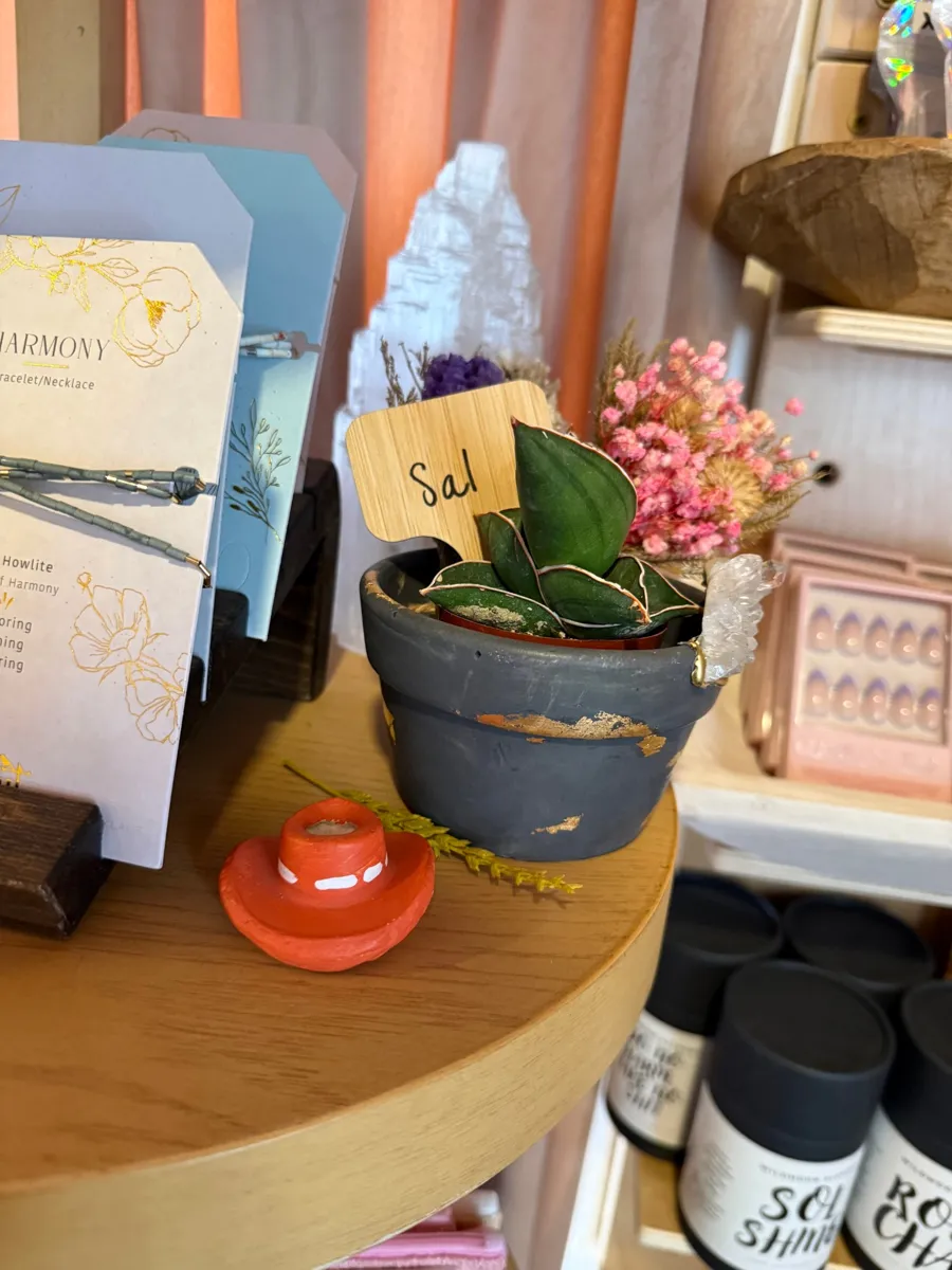 Sal the snake plant on a round display table beside jewelry cards and a crystal