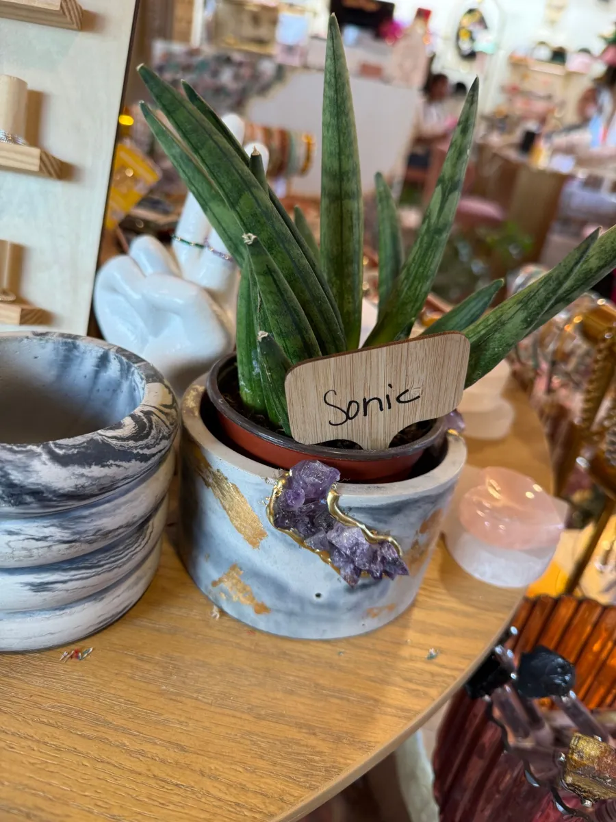 A spiky snake plant in a marbled pot decorated with gold leaf and an amethyst crystal